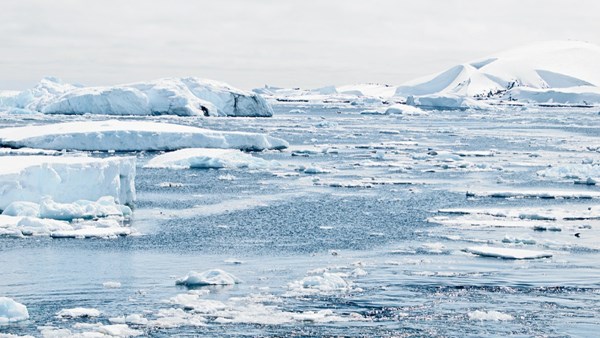 İnanç Can Çekmez: Antarktika'nın buz katmanı yüz binlerce meteora konut sahipliği yapıyor 3