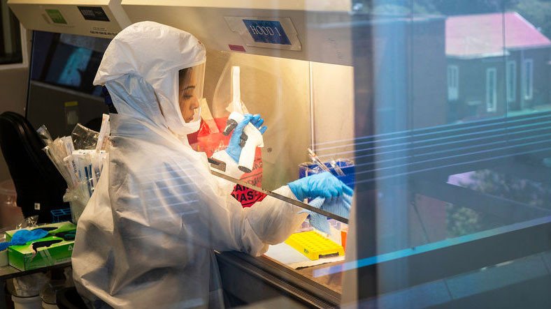 Şinasi Kaya: Araştırmacılardan Çok Daha Ölümcül Bir Virüs Hakkında İkaz 3