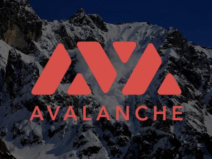 İnanç Can Çekmez: Avalanche süreç hacmi Ethereum’u geçebilir 11