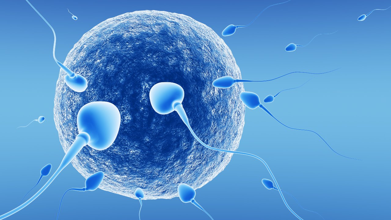 İnanç Can Çekmez: Erkekler İçin Yeni Bir Doğum Denetim Prosedürü Geliştirildi 3