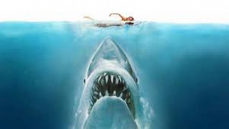 Ulaş Utku Bozdoğan: Köpekbalıklarının İnsanlara Saldırması ve Ay Ortasında Şaşırtan İlişki! 1