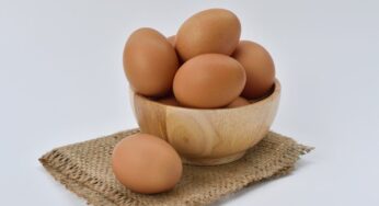 Mantardan üretilen bir protein, yumurta beyazına çevre dostu alternatif sunacak