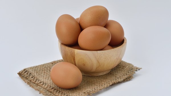İnanç Can Çekmez: Mantardan üretilen bir protein, yumurta beyazına çevre dostu alternatif sunacak 3