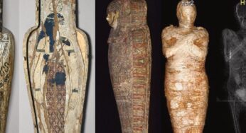 Mumyalar Hakkında İhtilal Niteliğinde Keşif Yapıldı