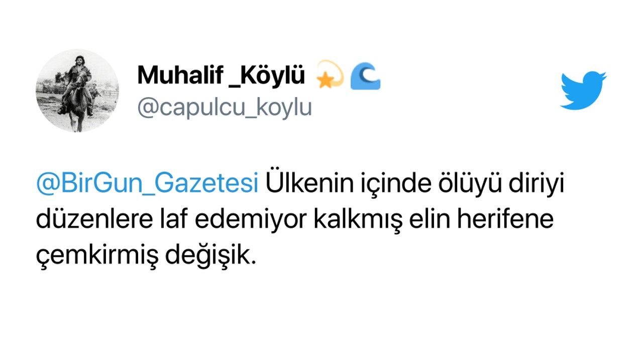 İnanç Can Çekmez: Mustafa Sarıgül'Ün Elon Musk Açıklamasına Gelen Yansılar 5