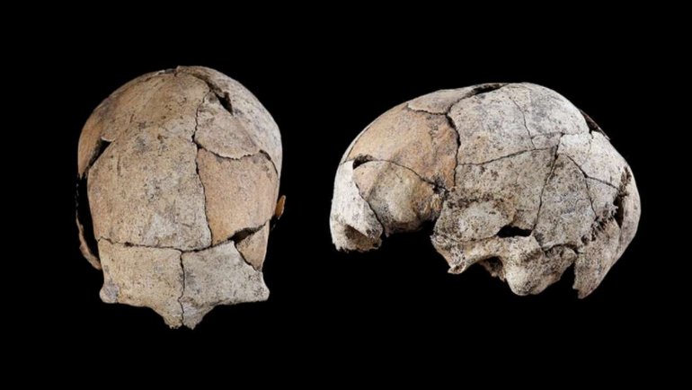 İnanç Can Çekmez: 5.300 Yıllık Kafatası, İnsanlık Tarihindeki Bir Birincisi Ortaya Çıkarttı! 1