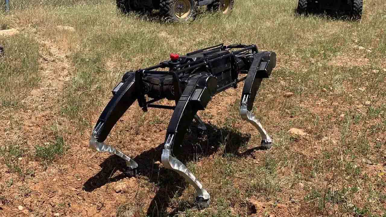 Şinasi Kaya: Abd Hududunda Robot Köpekler Devriye Gezecek 1