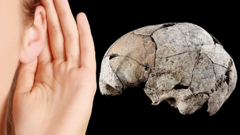 Şinasi Kaya: Birinci Kulak Ameliyatının 6 Bin Yıl Evvel Yapıldığı Keşfedildi 7