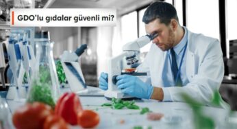 Biyoteknoloji Nedir, Uygulama Alanları Neler?