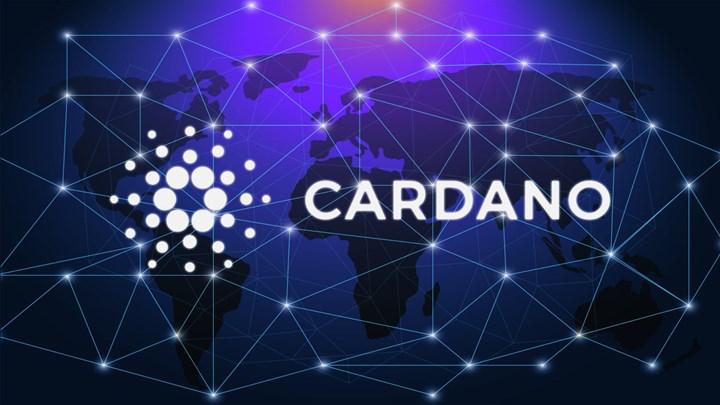 Şinasi Kaya: Cardano ağı büyümeye devam ediyor 1