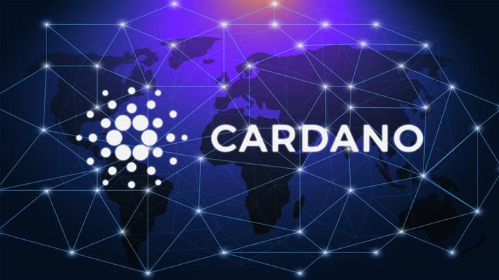 Şinasi Kaya: Cardano Ağı Büyümeye Devam Ediyor 1