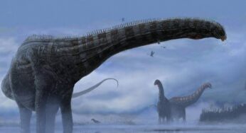 Dinozor Dolly’nin Vefat Sebebi, Fosilde Yapılan İnceleme ile Ortaya Çıktı!