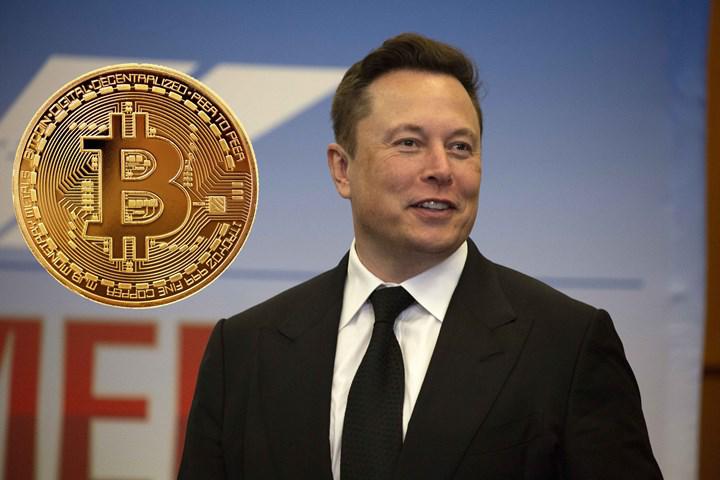 Ulaş Utku Bozdoğan: Elon Musk, kripto para dolandırıcılığıyla ilgili uyardı 1