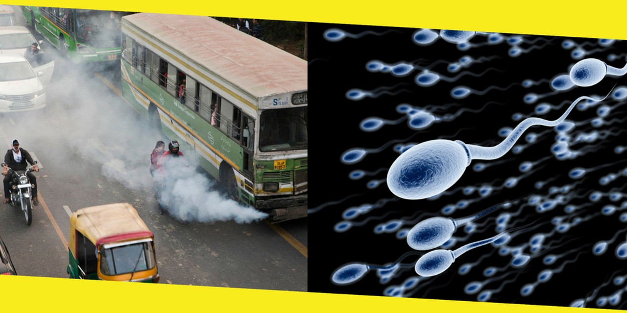 Ulaş Utku Bozdoğan: Hava Kirliliğinin Sperm Kalitesini Düşürdüğü Ortaya Çıktı 3