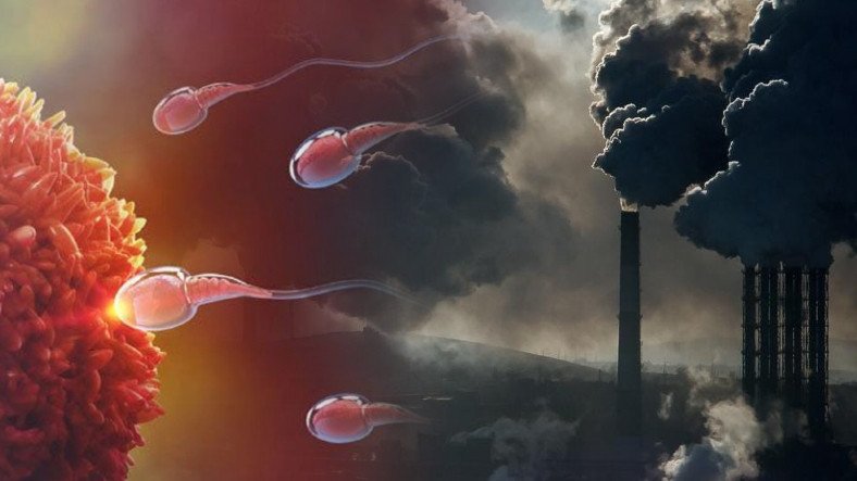 Ulaş Utku Bozdoğan: Hava Kirliliğinin Sperm Kalitesini Düşürdüğü Ortaya Çıktı 7