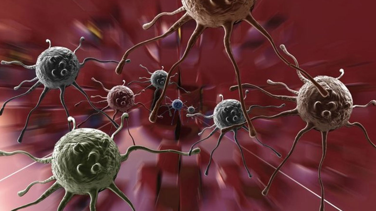 Meral Erden: HIV Virüsünün Daha Bulaşıcı ve Ölümcül Varyantı Keşfedildi 27