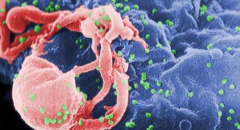 HIV Virüsünün Daha Bulaşıcı ve Ölümcül Varyantı Keşfedildi