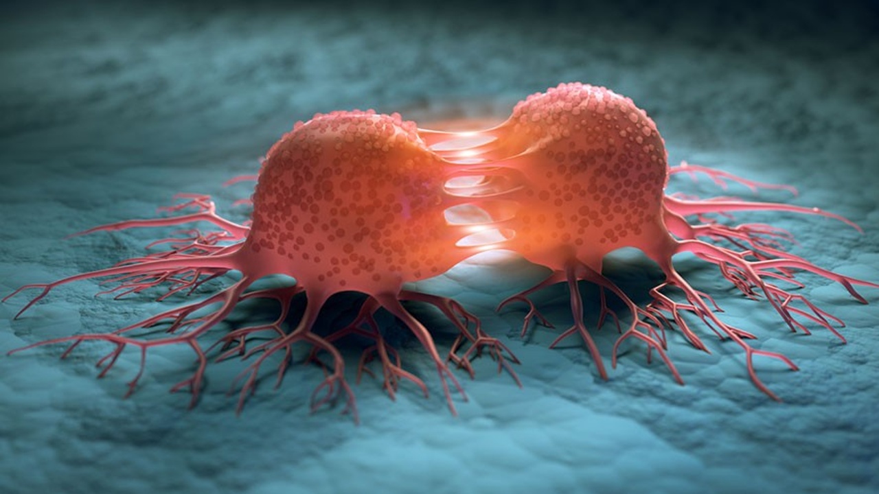 Ulaş Utku Bozdoğan: Kanserli Hücrelerin Nasıl Yıllarca Uykuda Kaldığı Keşfedildi 1