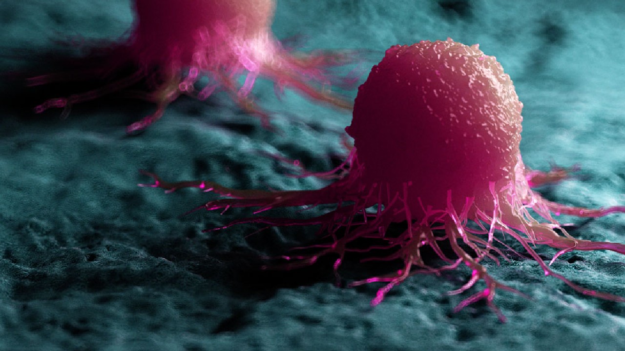Ulaş Utku Bozdoğan: Kanserli Hücrelerin Nasıl Yıllarca Uykuda Kaldığı Keşfedildi 3