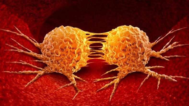 Ulaş Utku Bozdoğan: Kanserli Hücrelerin Nasıl Yıllarca Uykuda Kaldığı Keşfedildi 5