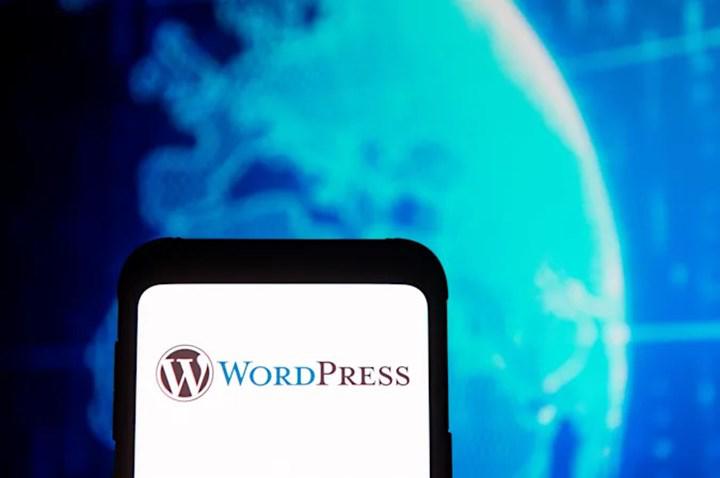 Şinasi Kaya: Milyonlarca Wordpress Sitesi, Bir Eklentideki Güvenlik Açığı Için Mecburî Güncelleme Alıyor 1
