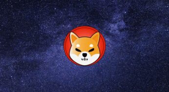 Shiba Inu grubunun yeni metaverse projesi: Shiba Lands
