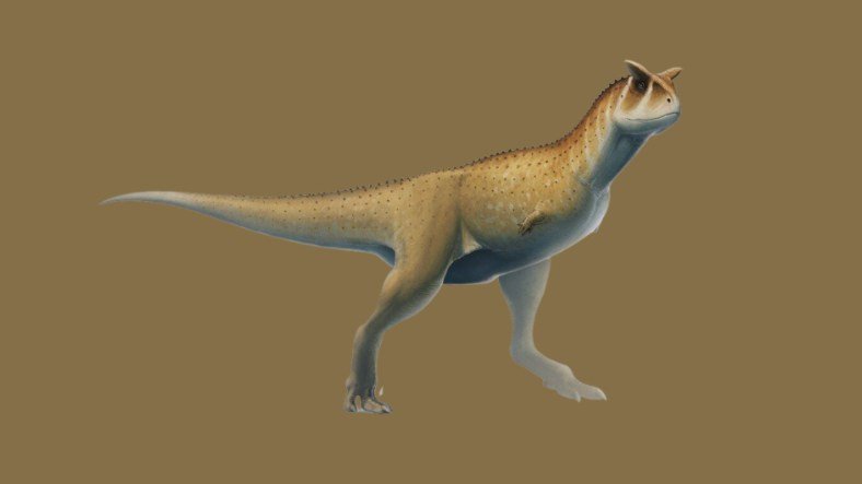 İnanç Can Çekmez: Yeni Bir Dinozor Tipi Keşfedildi 3