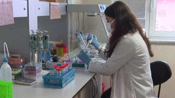 Meral Erden: Yerli viral vektör koronavirüs aşısı çalışmalarına sırf 2 istekli katıldı 5