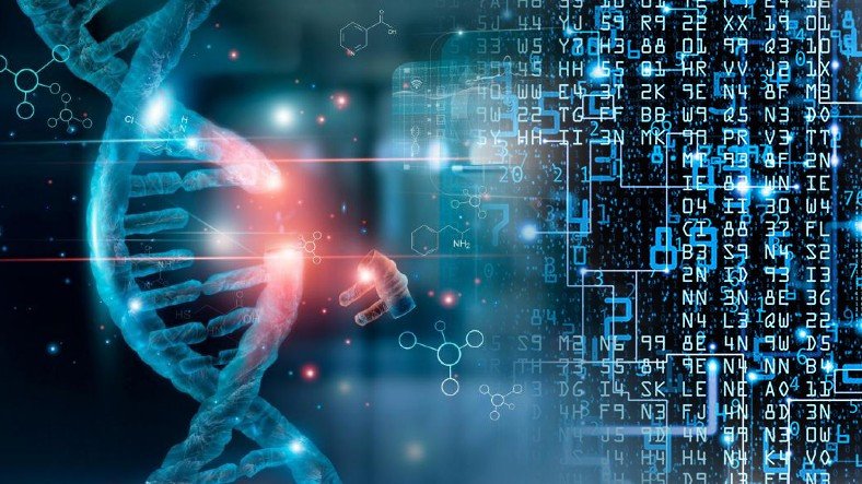 Meral Erden: Araştırmacılar, Datayı DNA'da Depolamak Üzerine Çalışıyor 7