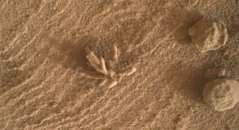 Curiosity’nin Mars’tan Gönderdiği Yeni Karedeki “Mars Çiçeği” Sürprizi!