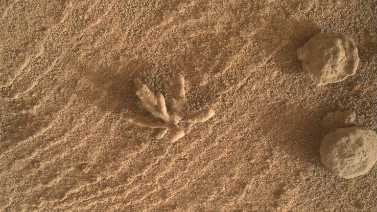 Şinasi Kaya: Curiosity'nin Mars'tan Gönderdiği Yeni Karedeki "Mars Çiçeği" Sürprizi! 3