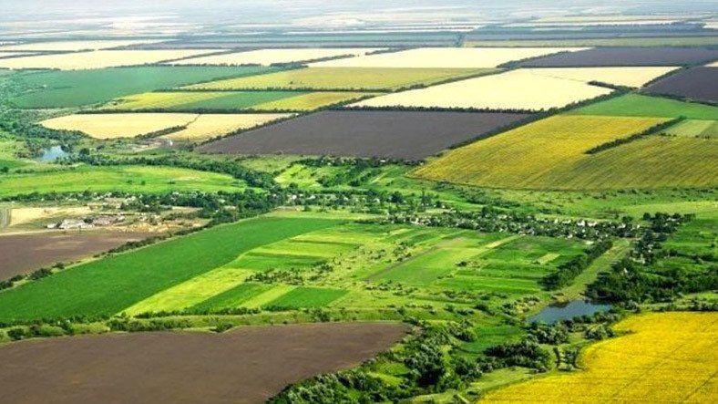 Meral Erden: En Verimli Tarım Yerleri Açıklandı 7