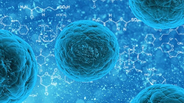 İnanç Can Çekmez: Geliştirilen 'görünmezlik pelerini' tedavi edici bakterileri bağışıklık sisteminden gizleyebiliyor 3