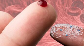 İnsan Kanında Mikroplastik Bulunduğu Tespit Edildi