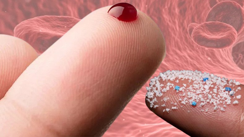 İnanç Can Çekmez: İnsan Kanında Mikroplastik Bulunduğu Tespit Edildi 3