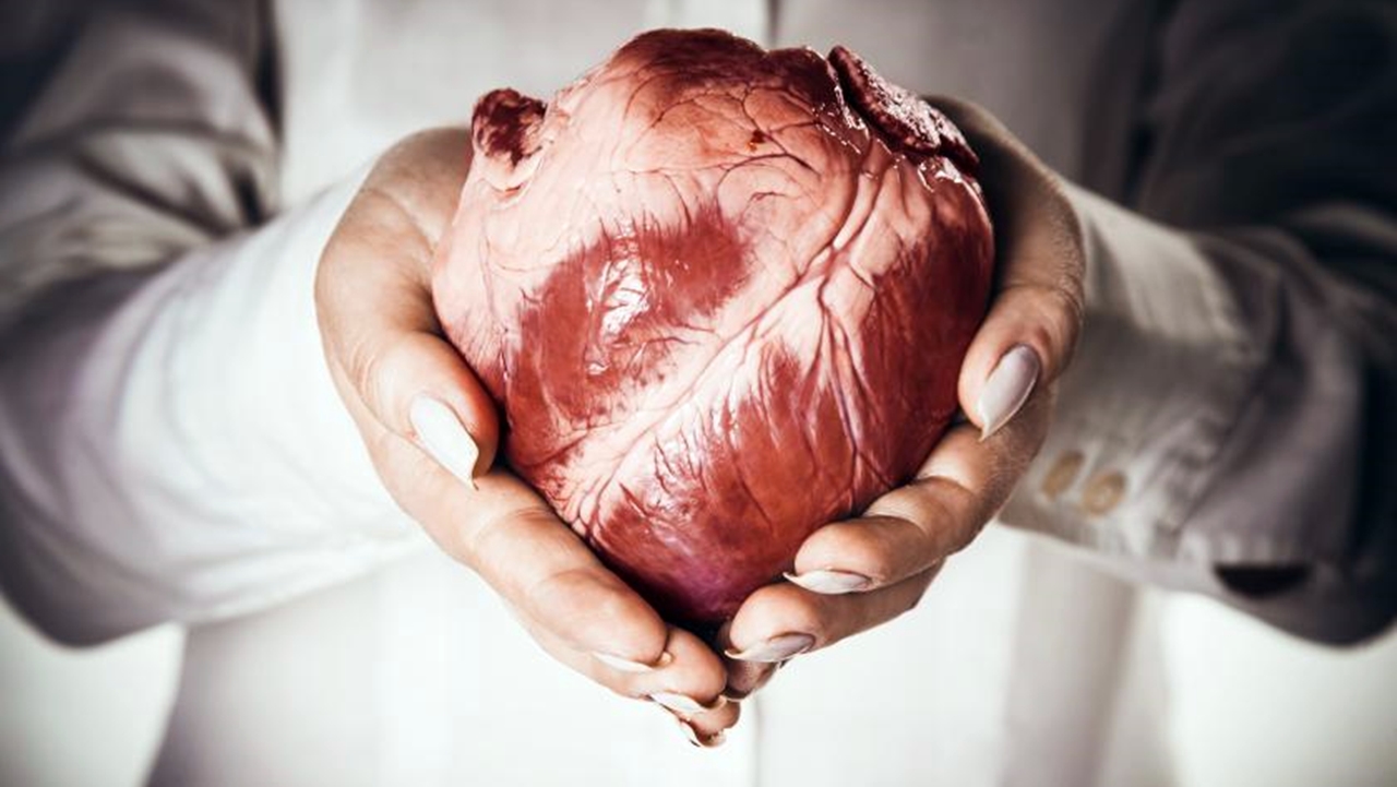 İnanç Can Çekmez: 'Kalp Kanseri'Ni Neden Neredeyse Hiç Duymayız? 3