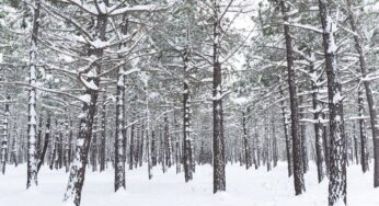 Meteorolojide turuncu alarm nedir? Ne manaya geliyor?