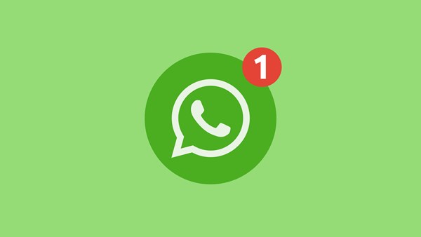 Meral Erden: WhatsApp kümelerde oylama özelliği sunacak 3