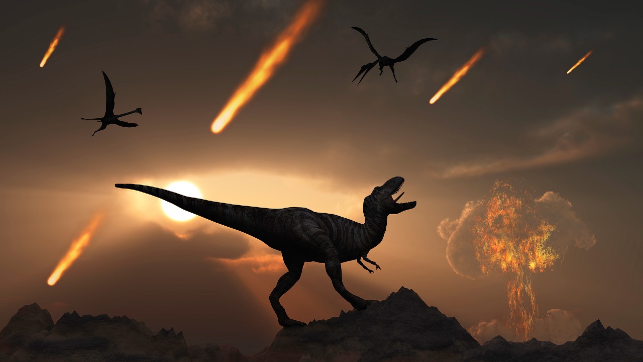 Şinasi Kaya: 66 Milyon Yıllık Bir Dinozor Bacağı Fosili Keşfedildi 27