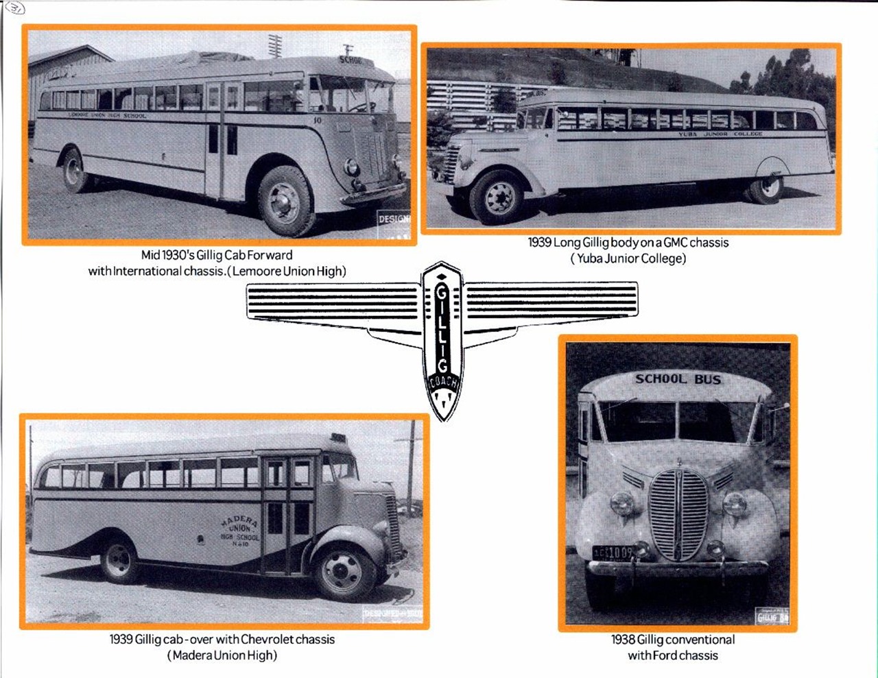 Meral Erden: Abd'Deki Okul Otobüsleri Neden Daima Sarı? İşte Tarihi 5