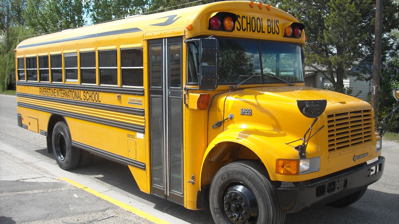 Meral Erden: Abd'Deki Okul Otobüsleri Neden Daima Sarı? İşte Tarihi 7