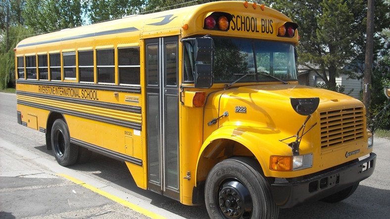 Meral Erden: ABD'deki Okul Otobüsleri Neden Daima Sarı? İşte Tarihi 11