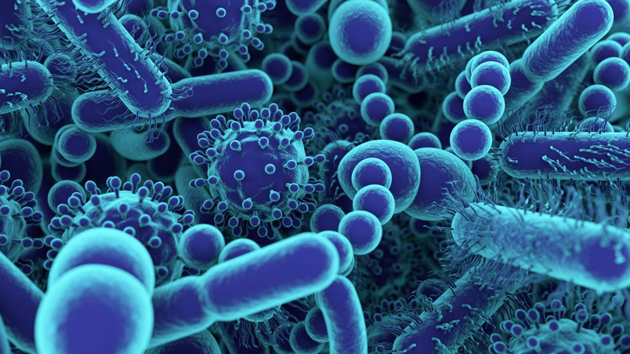 Şinasi Kaya: Antibiyotikleri Zararsızlaştıracak Yapay Bakteriler üretildi 11