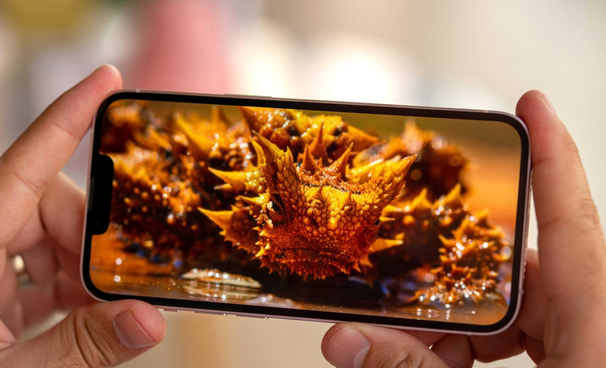 Şinasi Kaya: Apple, Iphone 14 Ekranları Için Yeni Bir Muahede Imzaladı 1