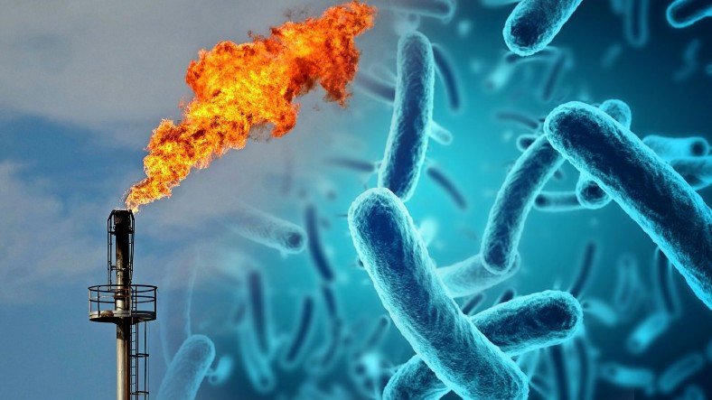 İnanç Can Çekmez: Bir Mikrobun, Metan Gazını Elektriğe Dönüştürdüğü Keşfedildi 5