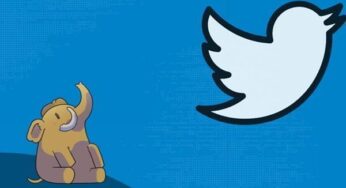 Fil, kuşu yiyecek mi? Mastodon, Twitter’ın satılmasından sonra toplumsal medyanın yeni Twitter’ı olma yolunda