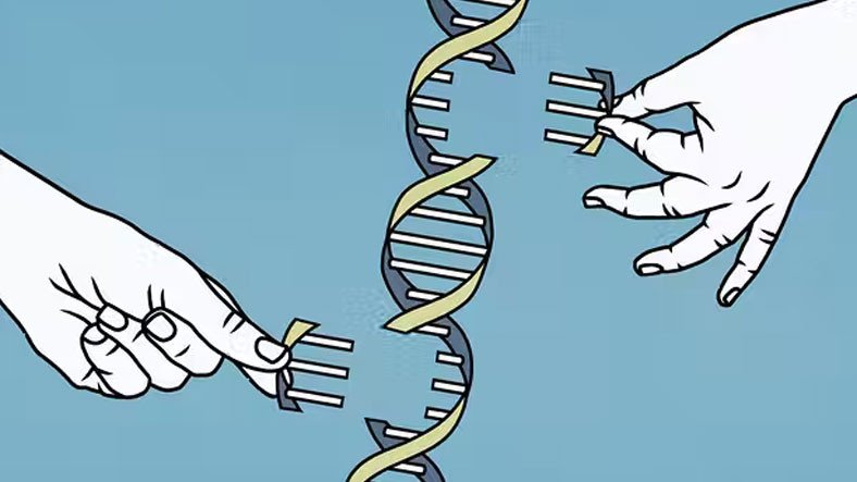 Meral Erden: İnsan Genomunu Birinci Sefer Baştan Aşağı Haritalandırdı 3