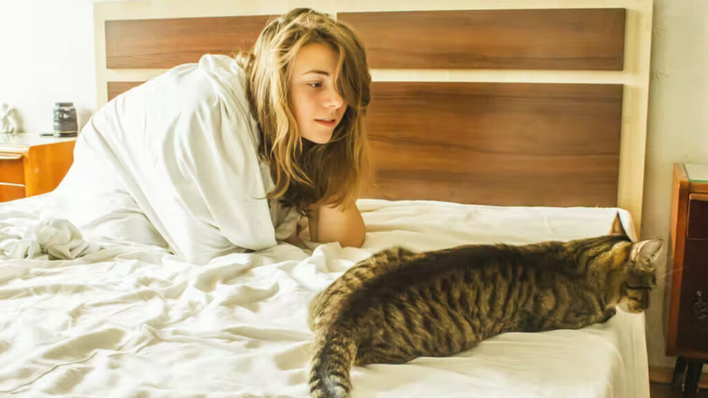 Şinasi Kaya: Kediler, sahiplerini neden sabahın erken saatlerinde uyandırır? Kedinizin sizi uyandırmasını önlemek için ne yapmalısınız? 1