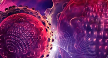 Mevte neden olabilen gizemli hepatit virüsü yayılmaya devam ediyor: DSÖ’den mevzu hakkında açıklama geldi.