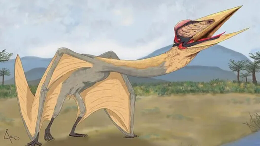 Ulaş Utku Bozdoğan: Arjantin’de 86 milyon yıllık yeni fosiller bulundu; fosillerin "ölüm ejderhası"na ilişkin olduğu açıklandı 1